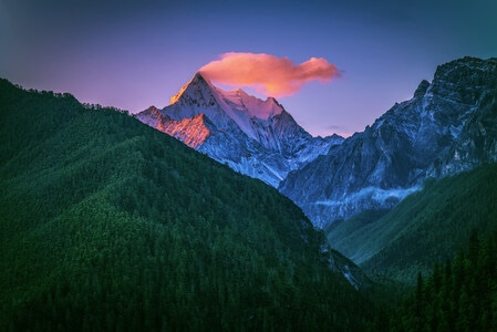 野外-盛世华年-美景-自然-风景 图片素材