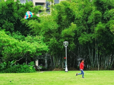 色彩-像素蜜蜂官方账号-城市景观-生活-扫街 图片素材