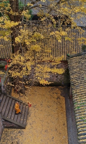 冬日暖阳-看你的城市-旅行、风光、人文-航拍风光-大慈寺 图片素材