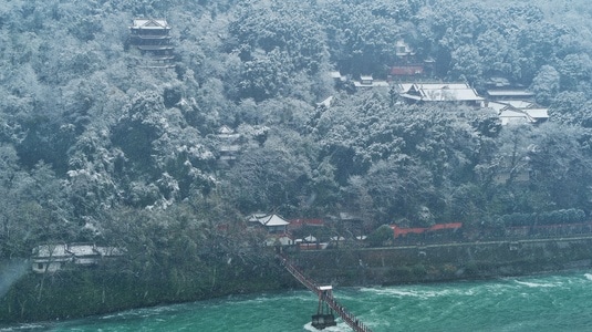 旅行、风光、人文-航拍风光-风景-树-树林 图片素材