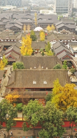 航拍风光-旅行、风光、人文-看你的城市-大慈寺-寺庙 图片素材