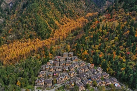 旅行、风光、人文-航拍风光-风光-风景-树木 图片素材