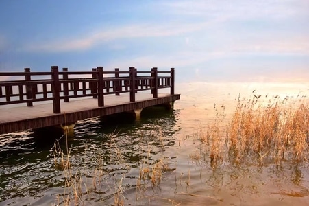 手机-随拍-户外-生活-风景 图片素材