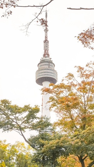 旅行-首尔-南山塔-南山塔-塔 图片素材