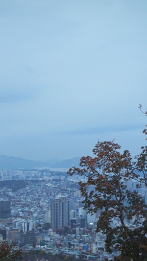 首尔-旅行-风景-风光-城市 图片素材