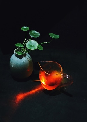 手机摄影-纪实-我要上封面-光影-风光 图片素材
