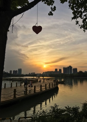 手机摄影-我要上封面-纪实-城市色彩-风景 图片素材
