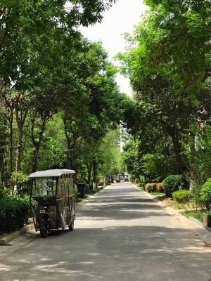 纪实-手机摄影-天气-风光-自然 图片素材