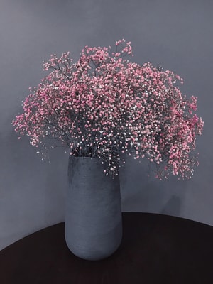 植物-花卉-花卉-花朵-花束 图片素材