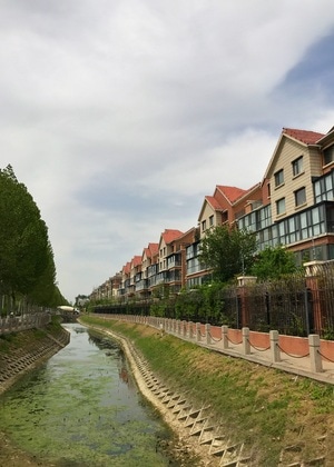 纪实-手机摄影-天气-风光-自然 图片素材