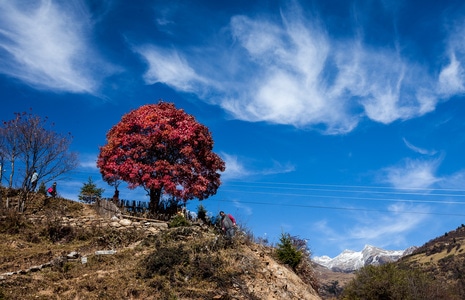 风光-旅行-四川-高山-佳能 图片素材