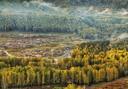 旅行-禾木秋景-风景-风光-树 图片素材