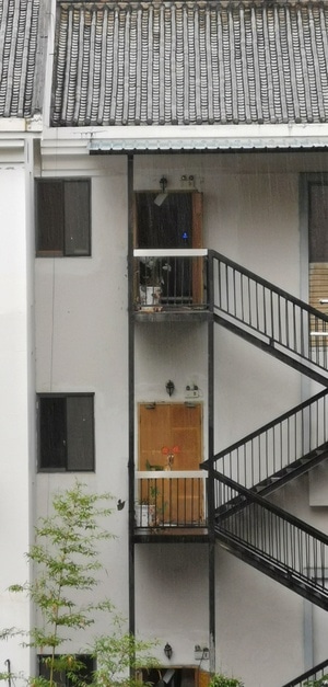 手机拍摄-后期-长焦-大雨-建筑 图片素材