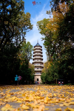 城市-南京-风景-灵谷寺-建筑 图片素材