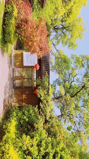 风景-自然-春天-手机-古建筑 图片素材