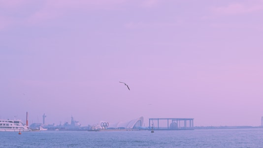 青岛-奥帆中心-紫色-梦幻-塔 图片素材