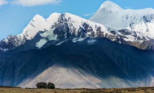 旅行-风光-川西-贡嘎雪山-山 图片素材