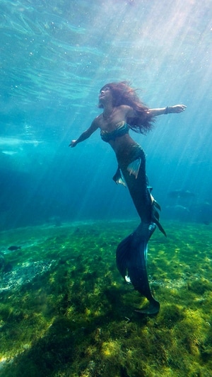 旅行-潜水-美人鱼-留尼旺岛-美人鱼 图片素材