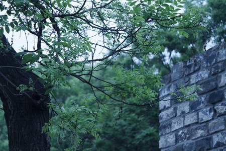 南京-报恩寺-蓝色-雨天-旅行 图片素材