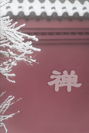 红墙-美丽-围墙-雪-树 图片素材