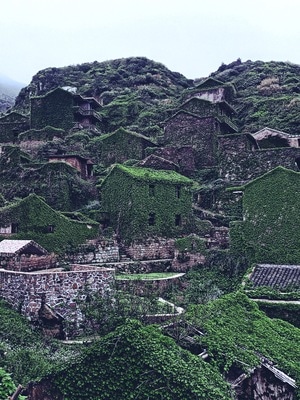 森林-zhoushan-风光-自然-看我的城 图片素材