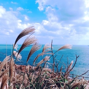 风光-我要上封面-自然-海岛旅游-风景 图片素材