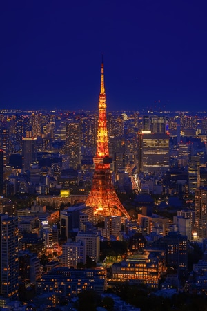 城市天际线-夜景-城市风光-蓝光-东京塔 图片素材