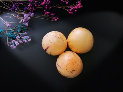 静物-摄会主义-花-花卉-满天星 图片素材