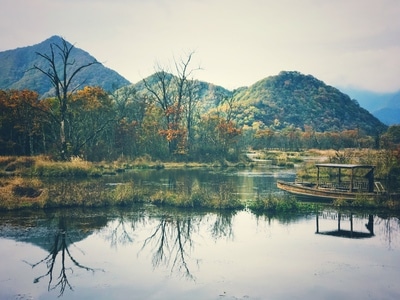 大九湖-旅拍-风景-风光-自然 图片素材