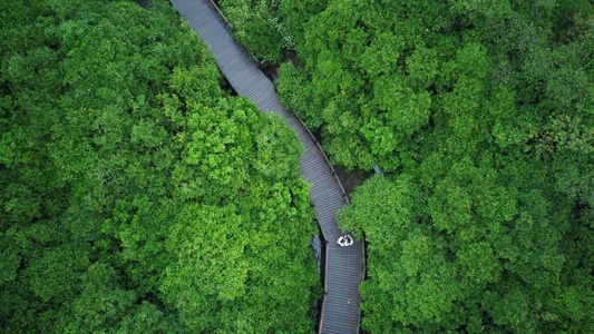 绿色地球-航拍-风景-旅行-自然 图片素材
