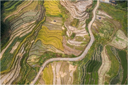 风光-建筑-乡土-风景-风光 图片素材