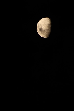 夜间-单反-摄影-随拍-佳能 图片素材