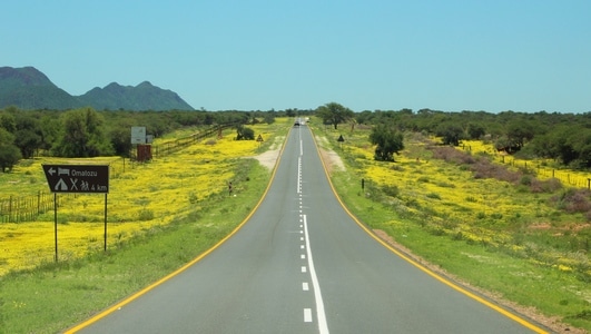 纳米比亚-路上-花丛-道路-风景 图片素材