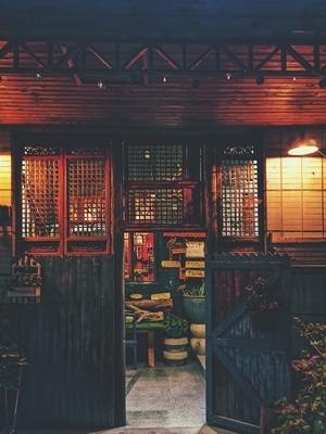 动物-夜色-手机摄影-建筑-房屋 图片素材