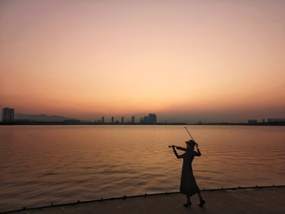 你好2020-年味-手机摄影-夕阳-剪影 图片素材
