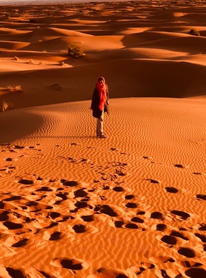 旅行-撒哈拉沙漠-风景-风光-自然 图片素材