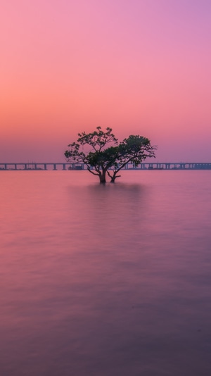风光-深圳-海边-壁纸-黄昏 图片素材