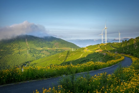 风光-风车-波斯菊花-道路-小路 图片素材