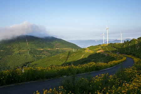 风光-自然-道路-小路-田野 图片素材