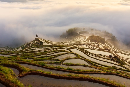 艺术风光-云海-风光-风景-梯田 图片素材