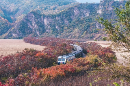 红叶-绿皮火车-金秋-色彩-山谷 图片素材