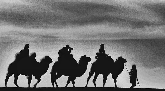 风光-沙漠-人文-景观-骆驼 图片素材