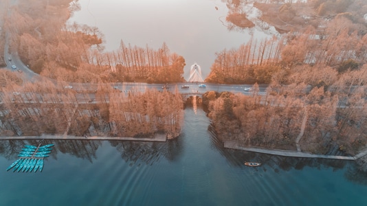 茅家埠-杨公堤-风光-树木-树林 图片素材
