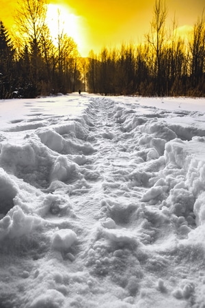 雪-旅行-小河-雪路-雪 图片素材