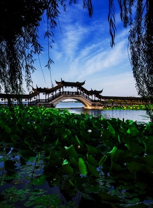 中国风-水面-古镇-风景-风光 图片素材