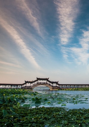 旅行-江南水乡-天空-风景-风光 图片素材