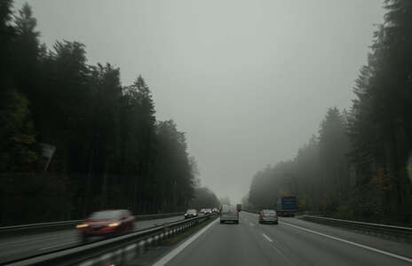 欧洲-旅行-风光-公路-树 图片素材