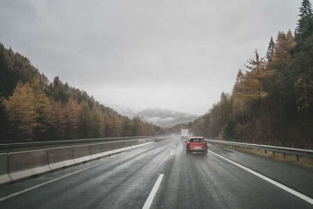 欧洲-旅行-风光-公路-树 图片素材