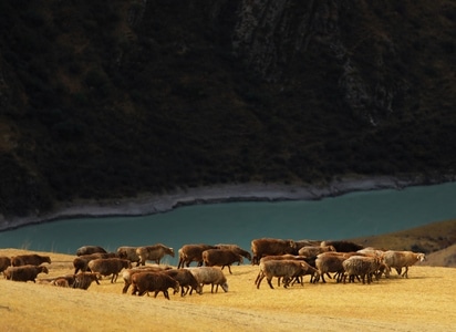 有趣-抓拍-纪实-旅行-风景 图片素材