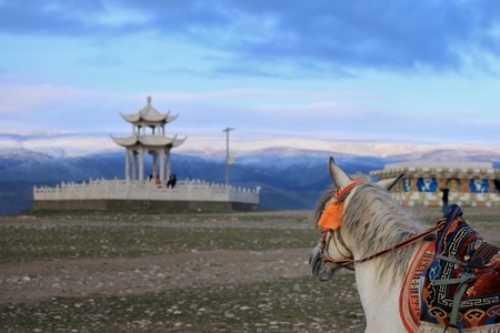 风光-旅行-黑马河-风光-风景 图片素材